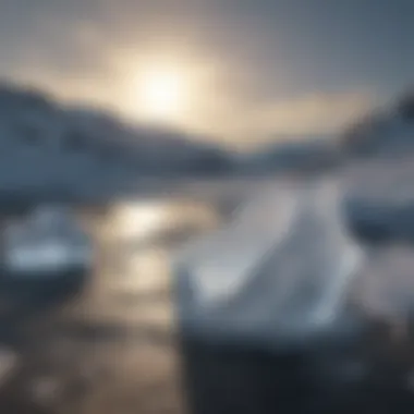 Locating ice melt salt nearby