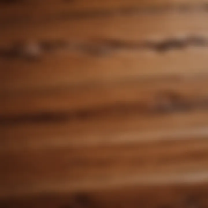 Close-Up of Cedar Wood Texture Close-up of the rich texture of cedar wood panels