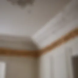 Exquisite Crown Moulding Design