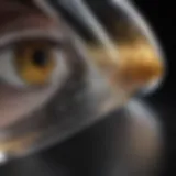 The Clarity and Brilliance of Optix Plexiglass Close-up view of Optix Plexiglass showcasing its clarity and brilliance