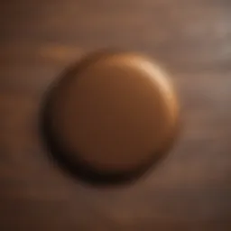 Rust-Oleum Metallic Paint in Flat Chestnut shade on a wooden surface