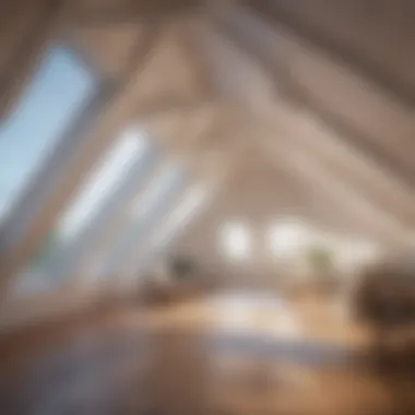 Optimizing Attic Climate with Eave Vents Attic Temperature Regulation