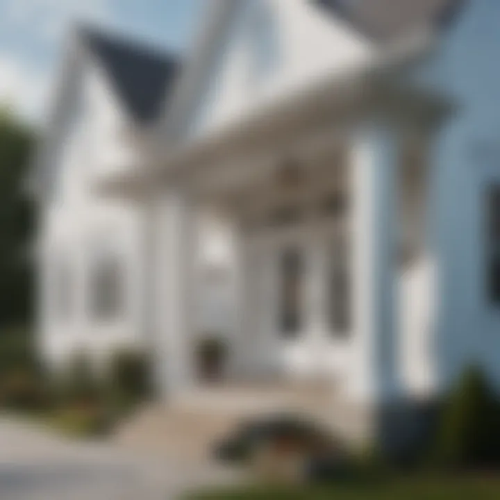 Exploring the Benefits of D5 White Vinyl Siding Introduction