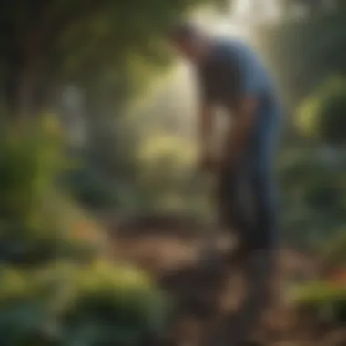 A gardener using a mattock for soil preparation