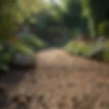 Different types of garden mattocks displayed side by side