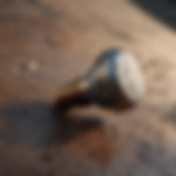 Corrosion Resistance Features Close-up of corrosion-resistant outdoor screw