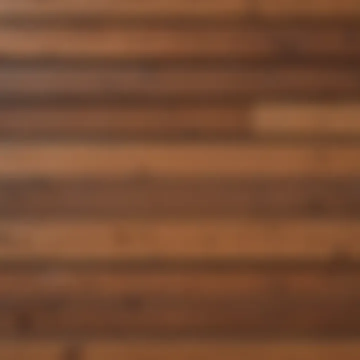 Close-up of various deck stain samples