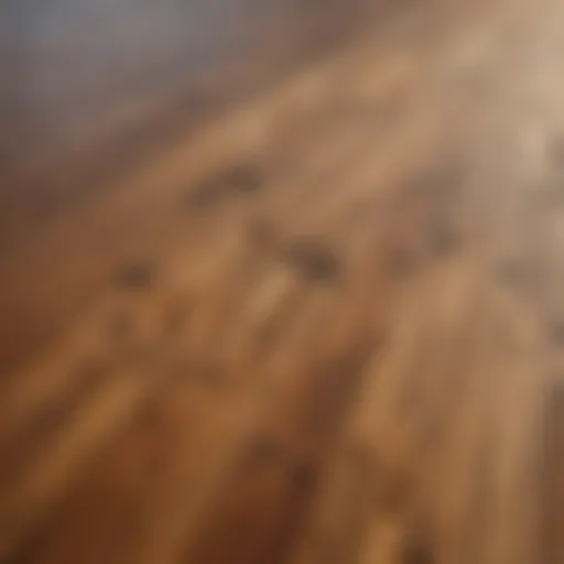 An elegant wooden deck showcasing semi-transparent stain