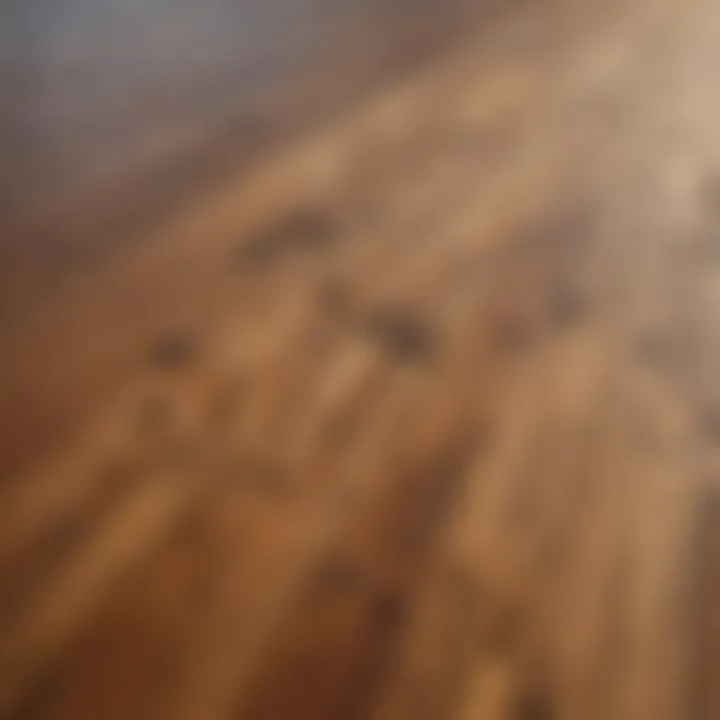An elegant wooden deck showcasing semi-transparent stain