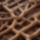 Chemical structure diagram of wood to rubber adhesives
