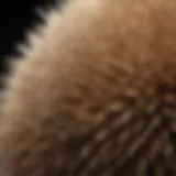 Close-up of polyester brush bristles showcasing their texture