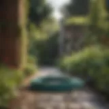 Illustration of a compact water hose in a garden setting