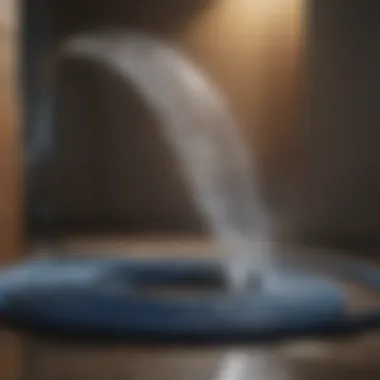 Visual representation of the environmental impact of water hoses