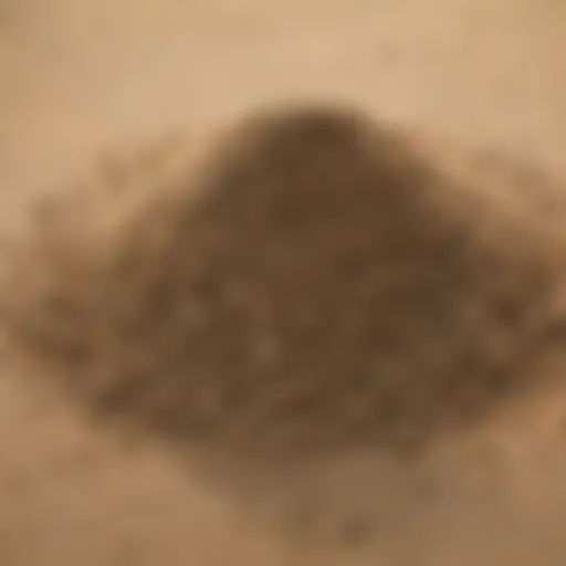 Close-up view of sand topping mix showcasing its texture and composition