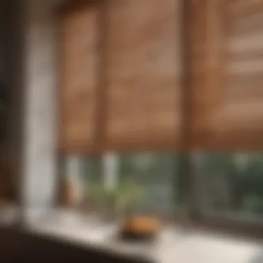 Glorious Exploring the Versatility of 23-Inch Blinds