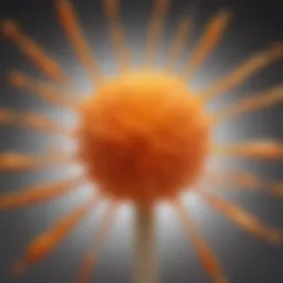 Abstract art showcasing the vibrancy of Krylon Popsicle Orange
