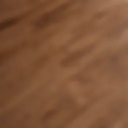 Exquisite Grain Detail of RevWood Fawn Chestnut Flooring