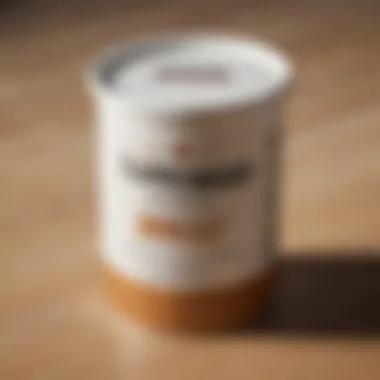 Exquisite Packaging of Famowood Latex Wood Filler Close-up of Famowood Latex Wood Filler container