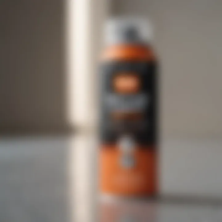 Spray paint can with fast-drying formula