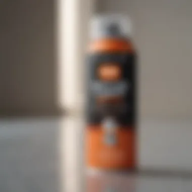 Cutting-Edge Quick-Drying Formula Spray paint can with fast-drying formula