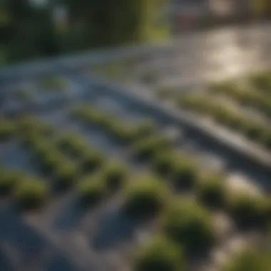 Sustainable Roof Care Practices Maintenance of fiber roofing sheets with green surroundings