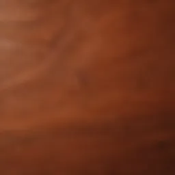 Close-up view of red oak wood grain
