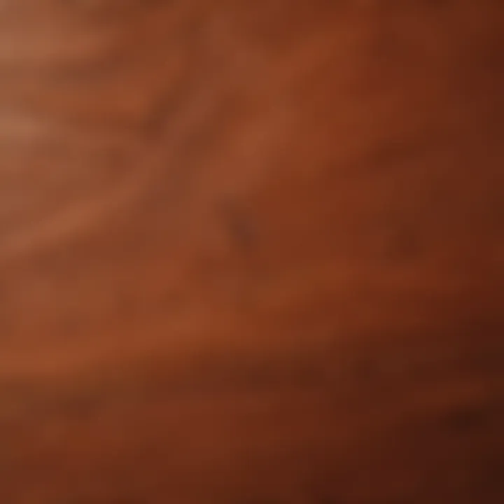 Close-up view of red oak wood grain