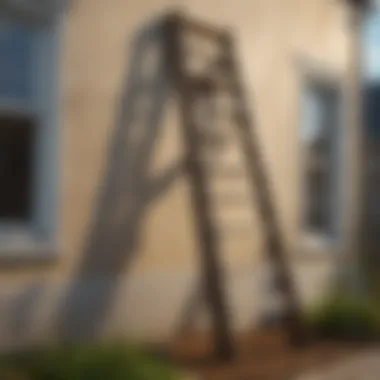 Sturdy Ladder for Home Maintenance A sturdy 32 ft ladder positioned against a house for maintenance.