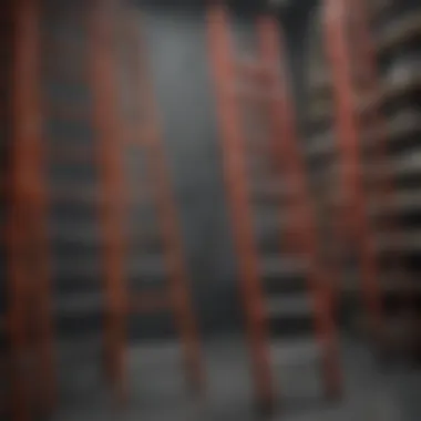 Variety of Ladders Available Different types of ladders displayed in a hardware store.