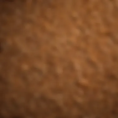 A close-up view of fine pine shavings in a livestock bedding setup.