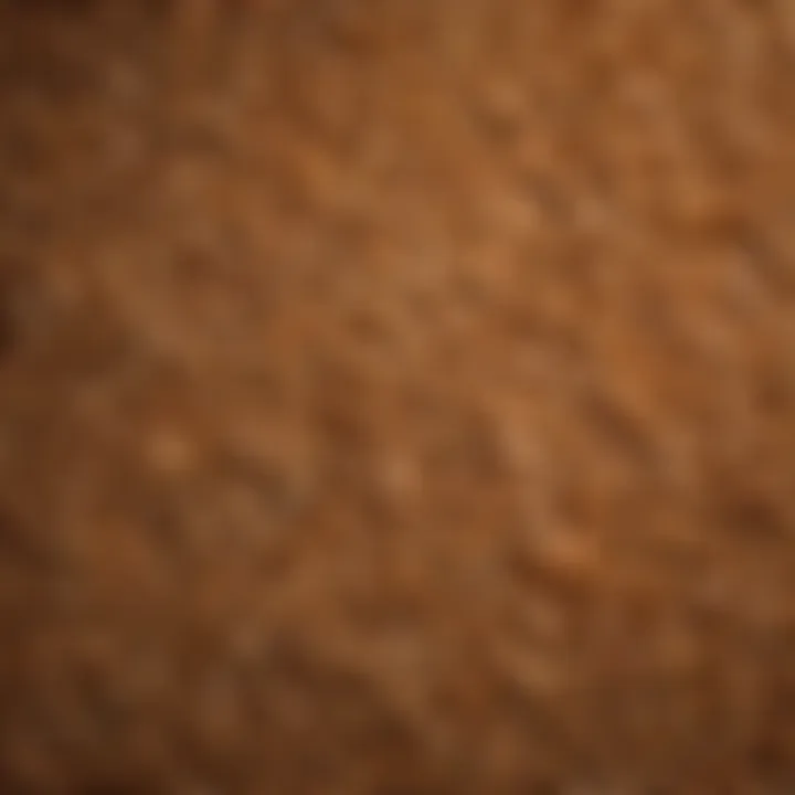 A close-up view of fine pine shavings in a livestock bedding setup.