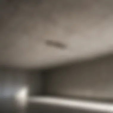 Finishing Touches in Concrete Ceiling Crack Repair