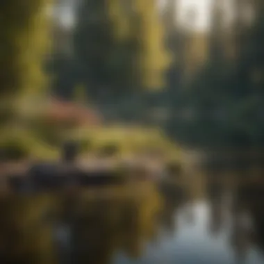 Fishing Rod on Tranquil Lake