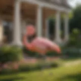 Vintage Elegance of Flamingo Lawn Decoration Flamingo Lawn Decoration - Vintage Elegance