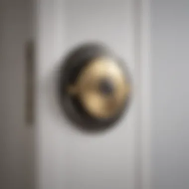 Functional Round Strike Plate Mechanism