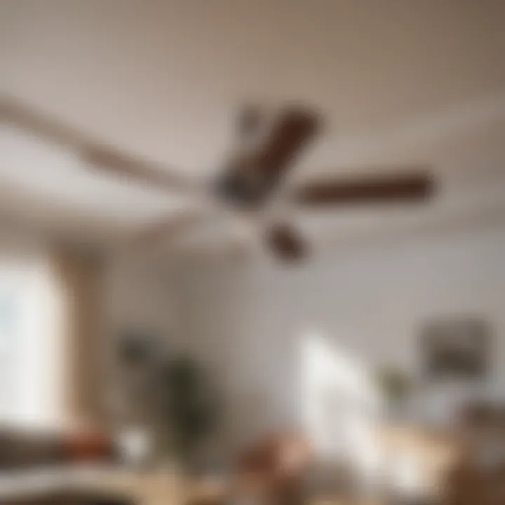 Functionality of Hunter Ceiling Fan