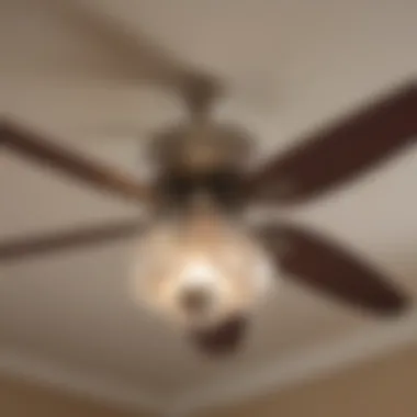 Soft Illumination from Ceiling Fan Light