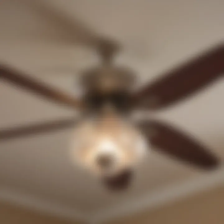 Soft Illumination from Ceiling Fan Light