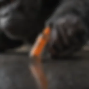 Strength Evaluation Gorilla Glue vs Liquid Nails Strength