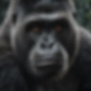 Gorilla's Hydrophobic Fur Structure