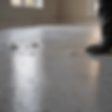Waterproofing Techniques using Gorilla Sealant White Waterproofing application illustration
