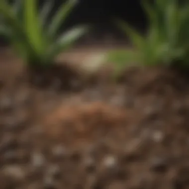 Precision Application Close-up of granular fungicide pellets on soil