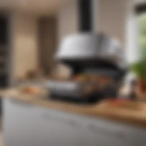 Innovative Grill in Modern Kitchen Setting