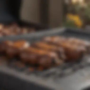 GrillPro Gas Grill Ignition System