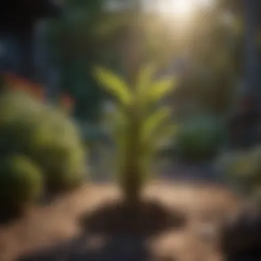 Ground spike supporting plant in garden