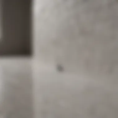 Precision Application of Henry Self-Stick Tile Primer