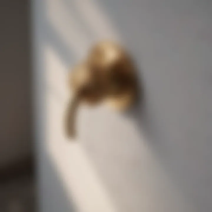 Close-up of high-quality materials in a flush handle kit
