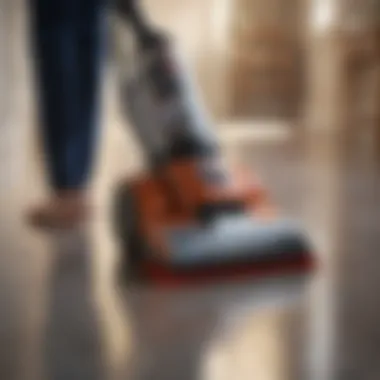 Efficiency Assessment of Hoover Paws