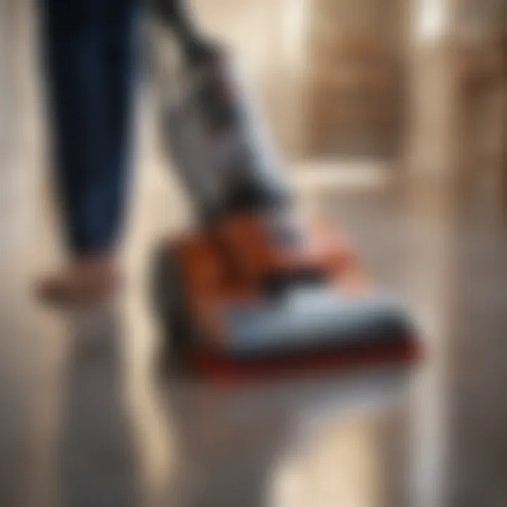 Efficiency Assessment of Hoover Paws