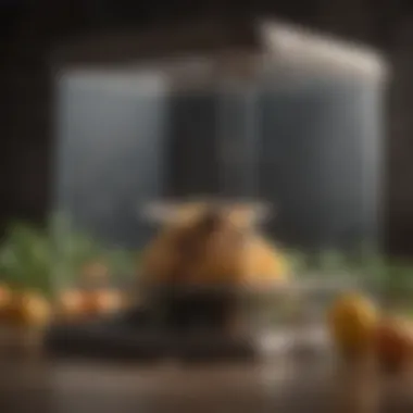 Commercial fruit fly trap with attractive bait